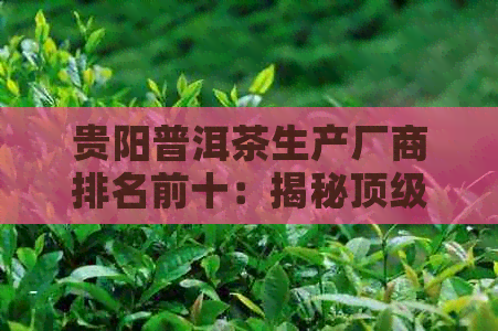 贵阳普洱茶生产厂商排名前十：揭秘顶级茶叶生产商