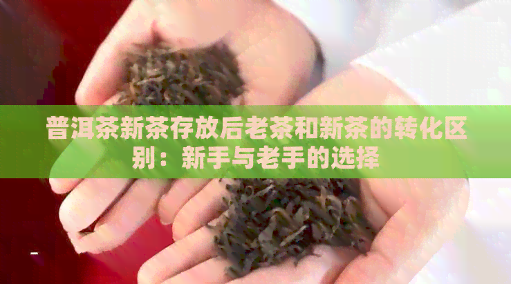 普洱茶新茶存放后老茶和新茶的转化区别：新手与老手的选择