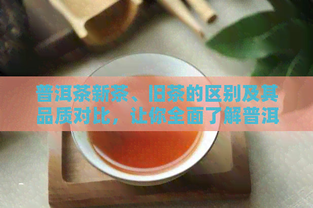 普洱茶新茶、旧茶的区别及其品质对比，让你全面了解普洱茶的魅力