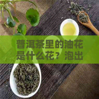 普洱茶里的油花是什么花？泡出来的普洱茶上有油花漂浮。