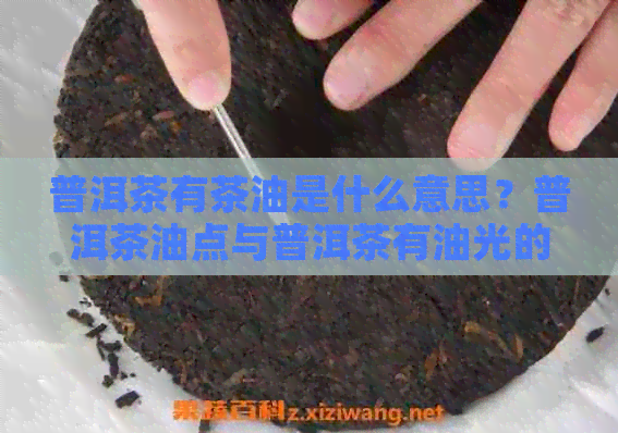 普洱茶有茶油是什么意思？普洱茶油点与普洱茶有油光的含义解析