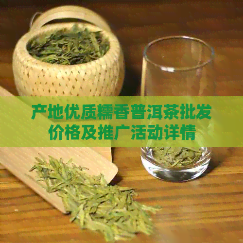 产地优质糯香普洱茶批发价格及推广活动详情