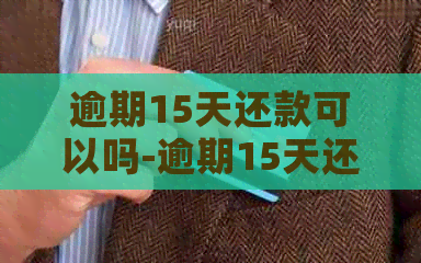 逾期15天还款可以吗-逾期15天还款还能用吗