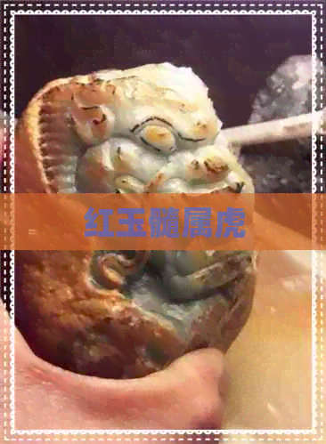 红玉髓属虎