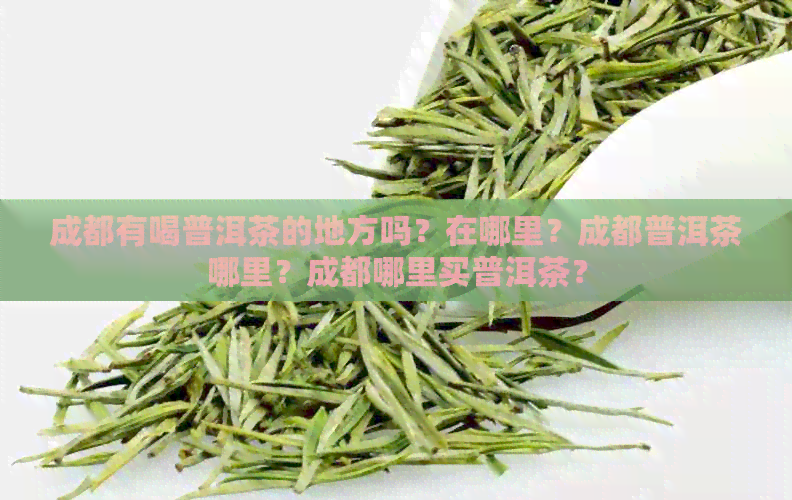 成都有喝普洱茶的地方吗？在哪里？成都普洱茶哪里？成都哪里买普洱茶？