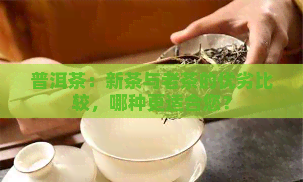 普洱茶：新茶与老茶的优劣比较，哪种更适合您？