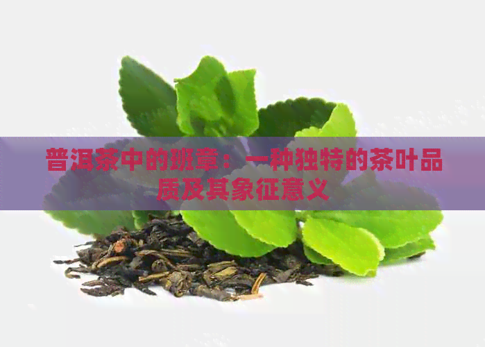 普洱茶中的班章：一种独特的茶叶品质及其象征意义