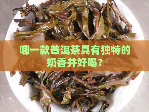 哪一款普洱茶具有独特的奶香并好喝？