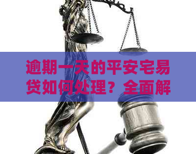 逾期一天的平安宅易贷如何处理？全面解决方案与建议