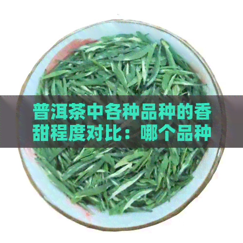 普洱茶中各种品种的香甜程度对比：哪个品种最令人醉？