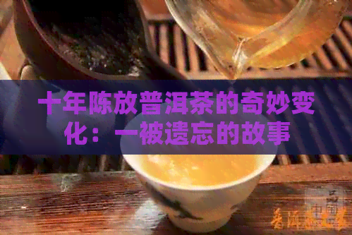 十年陈放普洱茶的奇妙变化：一被遗忘的故事