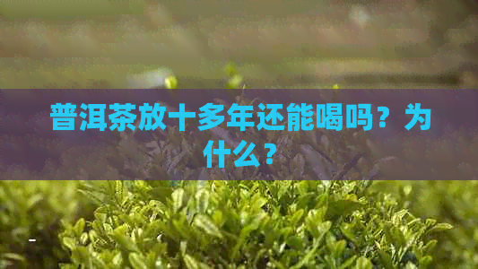 普洱茶放十多年还能喝吗？为什么？