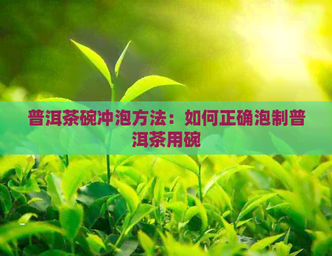 普洱茶碗冲泡方法：如何正确泡制普洱茶用碗