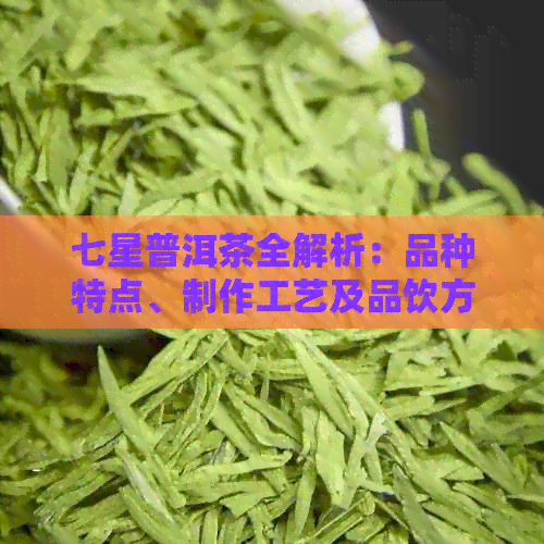 七星普洱茶全解析：品种特点、制作工艺及品饮方法，一篇解决您的所有疑问