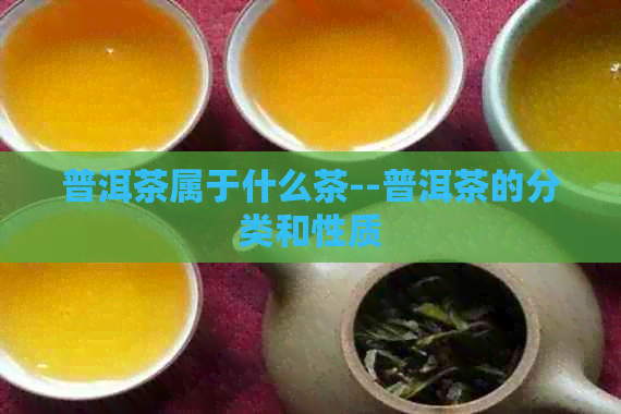 普洱茶属于什么茶--普洱茶的分类和性质