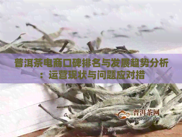 普洱茶电商口碑排名与发展趋势分析：运营现状与问题应对措