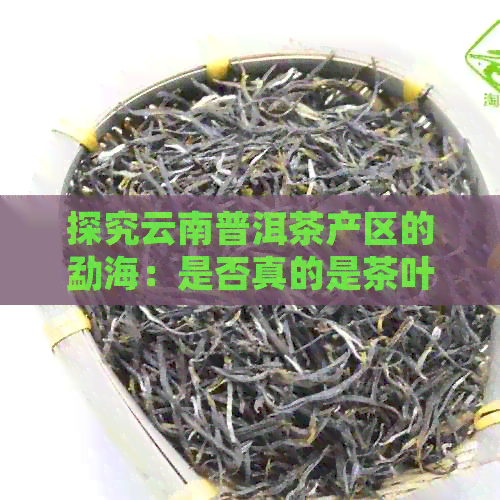 探究云南普洱茶产区的勐海：是否真的是茶叶的核心产地及其背后的原因