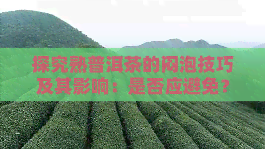 探究熟普洱茶的闷泡技巧及其影响：是否应避免？