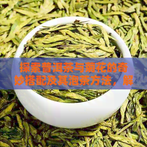 探索普洱茶与菊花的奇妙搭配及其泡茶方法，解锁新茶饮功效