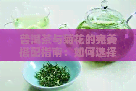 普洱茶与菊花的完美搭配指南：如何选择搭配方案以达到效果