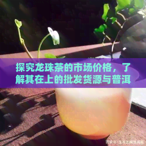 探究龙珠茶的市场价格，了解其在上的批发货源与普洱茶的关系