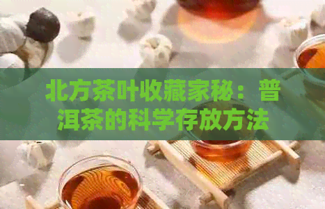 北方茶叶收藏家秘：普洱茶的科学存放方法