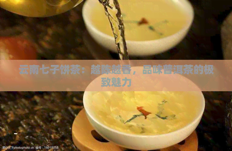 云南七子饼茶：越陈越香，品味普洱茶的极致魅力