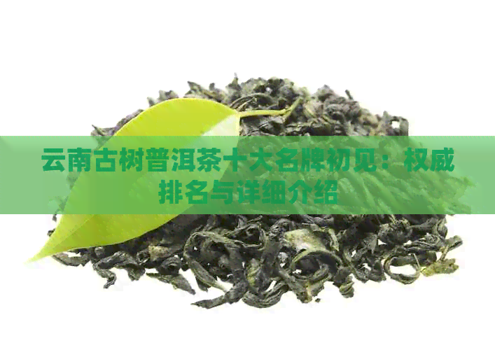 云南古树普洱茶十大名牌初见：权威排名与详细介绍