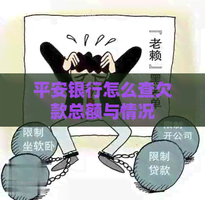 平安银行怎么查欠款总额与情况