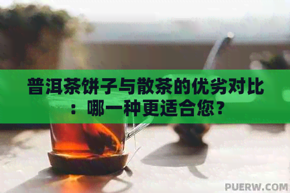 普洱茶饼子与散茶的优劣对比：哪一种更适合您？