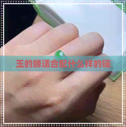 玉的蝉适合配什么样的链