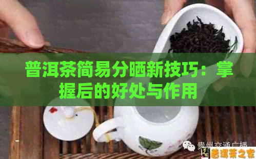 普洱茶简易分晒新技巧：掌握后的好处与作用