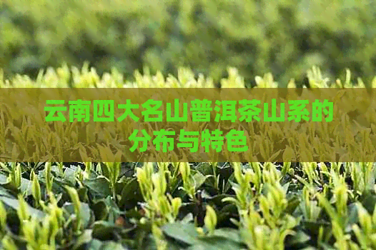 云南四大名山普洱茶山系的分布与特色