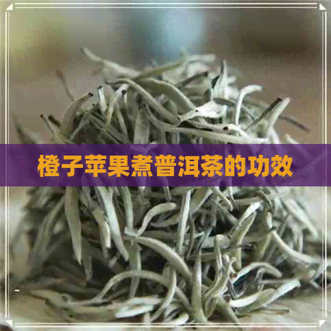 橙子苹果煮普洱茶的功效