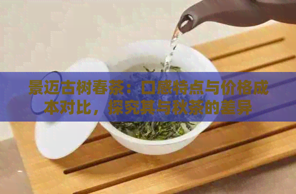 景迈古树春茶：口感特点与价格成本对比，探究其与秋茶的差异