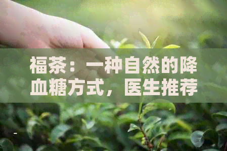 福茶：一种自然的降血糖方式，医生推荐的健选择