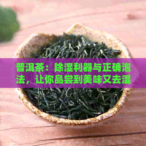 普洱茶：除湿利器与正确泡法，让你品尝到美味又去湿的茶