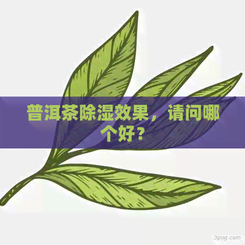 普洱茶除湿效果，请问哪个好？