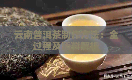 云南普洱茶制作方法：全过程及原料解析