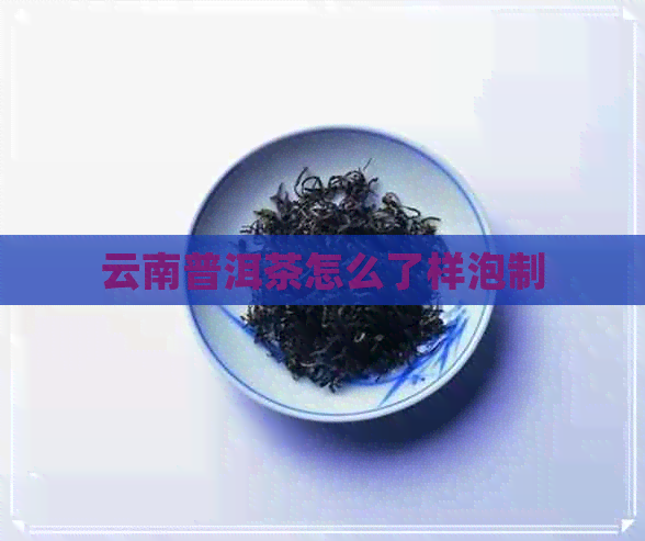 云南普洱茶怎么了样泡制