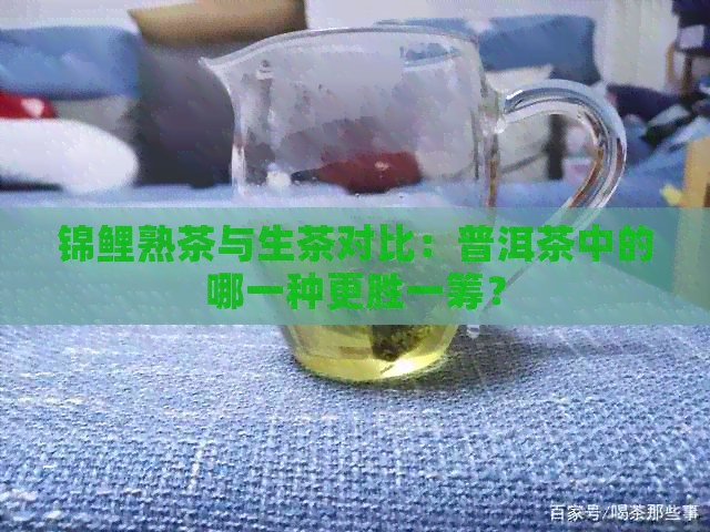 锦鲤熟茶与生茶对比：普洱茶中的哪一种更胜一筹？