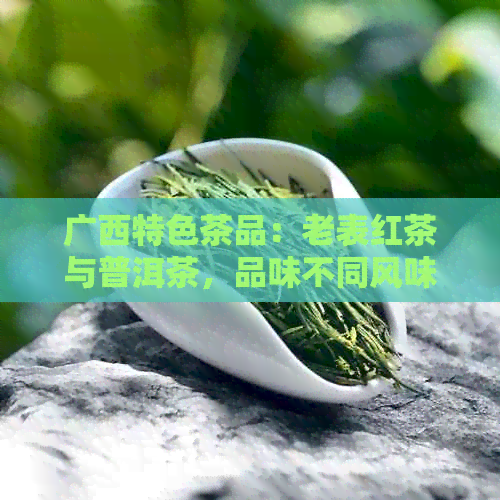 广西特色茶品：老表红茶与普洱茶，品味不同风味