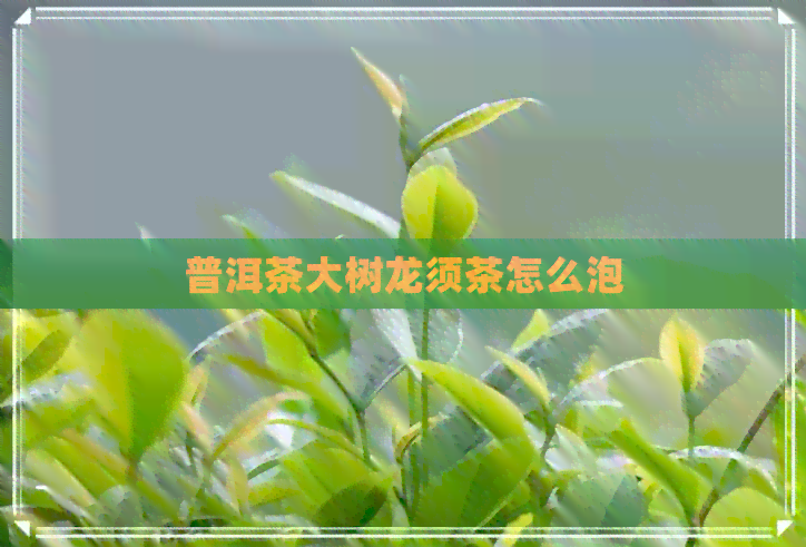 普洱茶大树龙须茶怎么泡