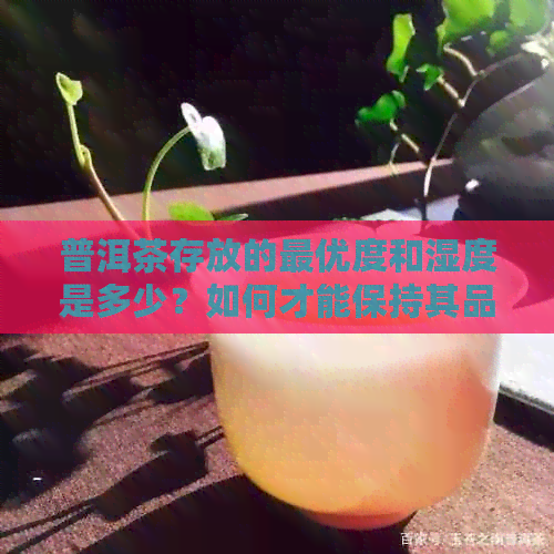 普洱茶存放的更优度和湿度是多少？如何才能保持其品质？