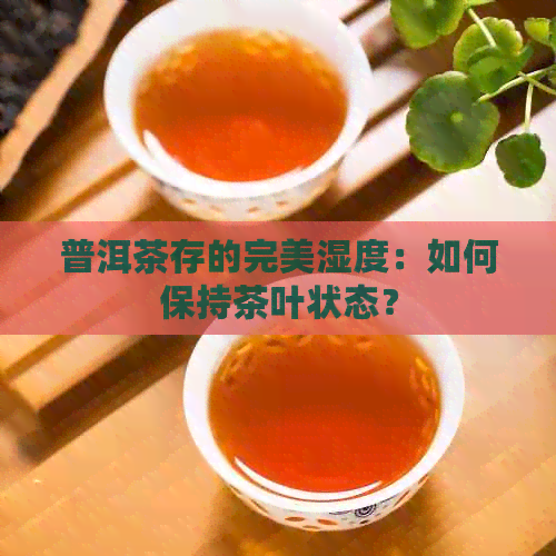 普洱茶存的完美湿度：如何保持茶叶状态？