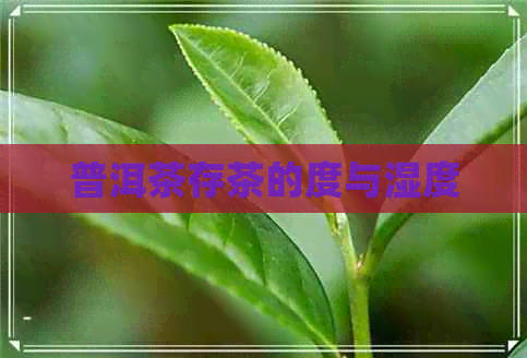 普洱茶存茶的度与湿度