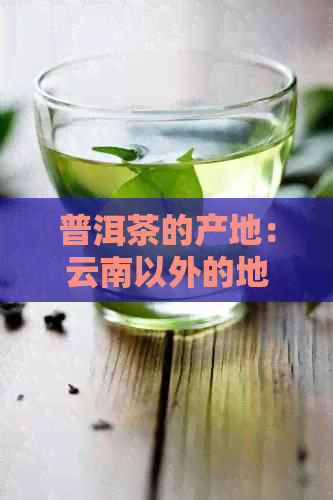 普洱茶的产地：云南以外的地区为什么没有生产普洱茶？