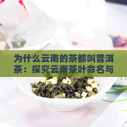 为什么云南的茶都叫普洱茶：探究云南茶叶命名与普洱茶特色