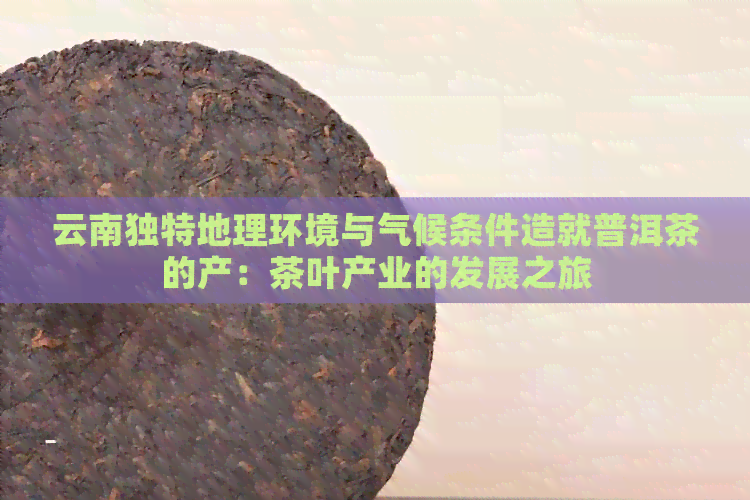 云南独特地理环境与气候条件造就普洱茶的产：茶叶产业的发展之旅