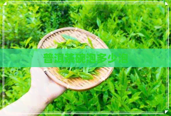 普洱茶碗泡多少泡